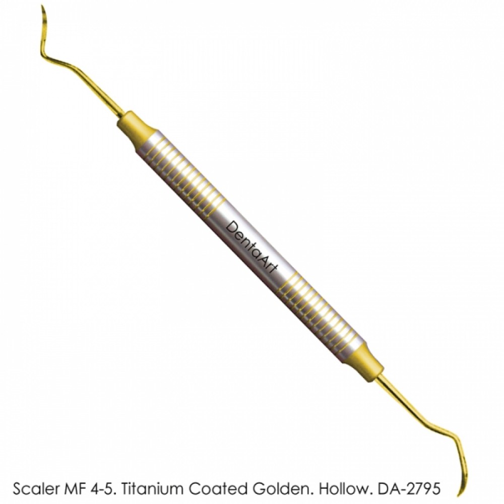 Scaler M